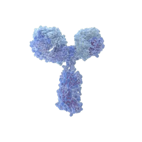 Human BMP5 Antibody Pair - BSA and Azide free